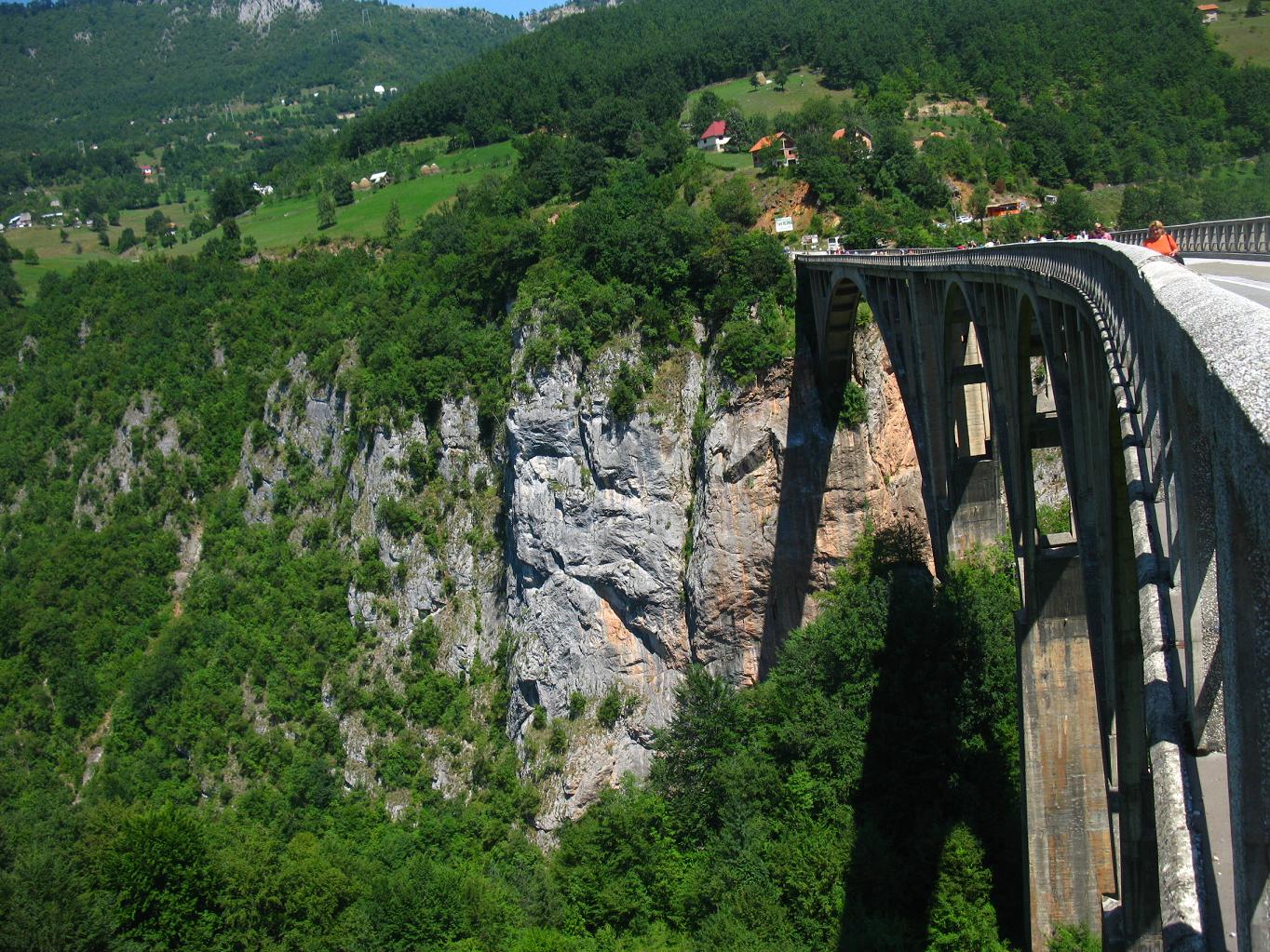 Tara Bridge
